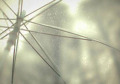 辽宁男篮的荣耀之路，主场赛程全解析