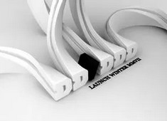 巴黎奥运会女排，激情与荣耀的赛场