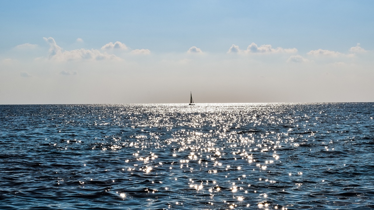 台风天鸭群稳稳站立 台风天鸭群稳稳站立