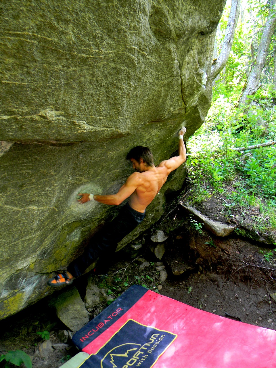 将蛇放入口中被咬死，一种极其危险的举动