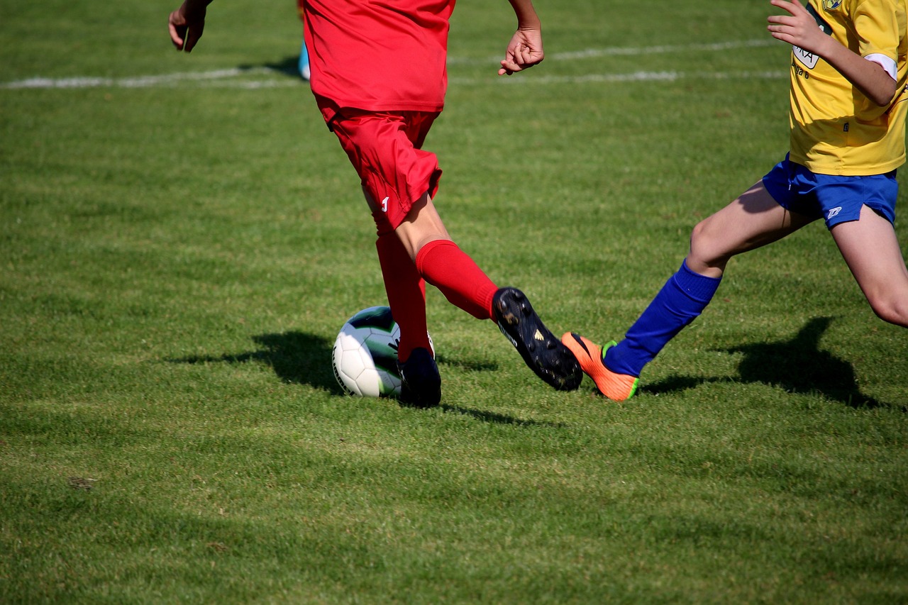 全面剖析,WWE美国职业摔角全集深度解读与训练秘籍 全面剖析,WWE美国职业摔角全集深度解读与训练秘籍