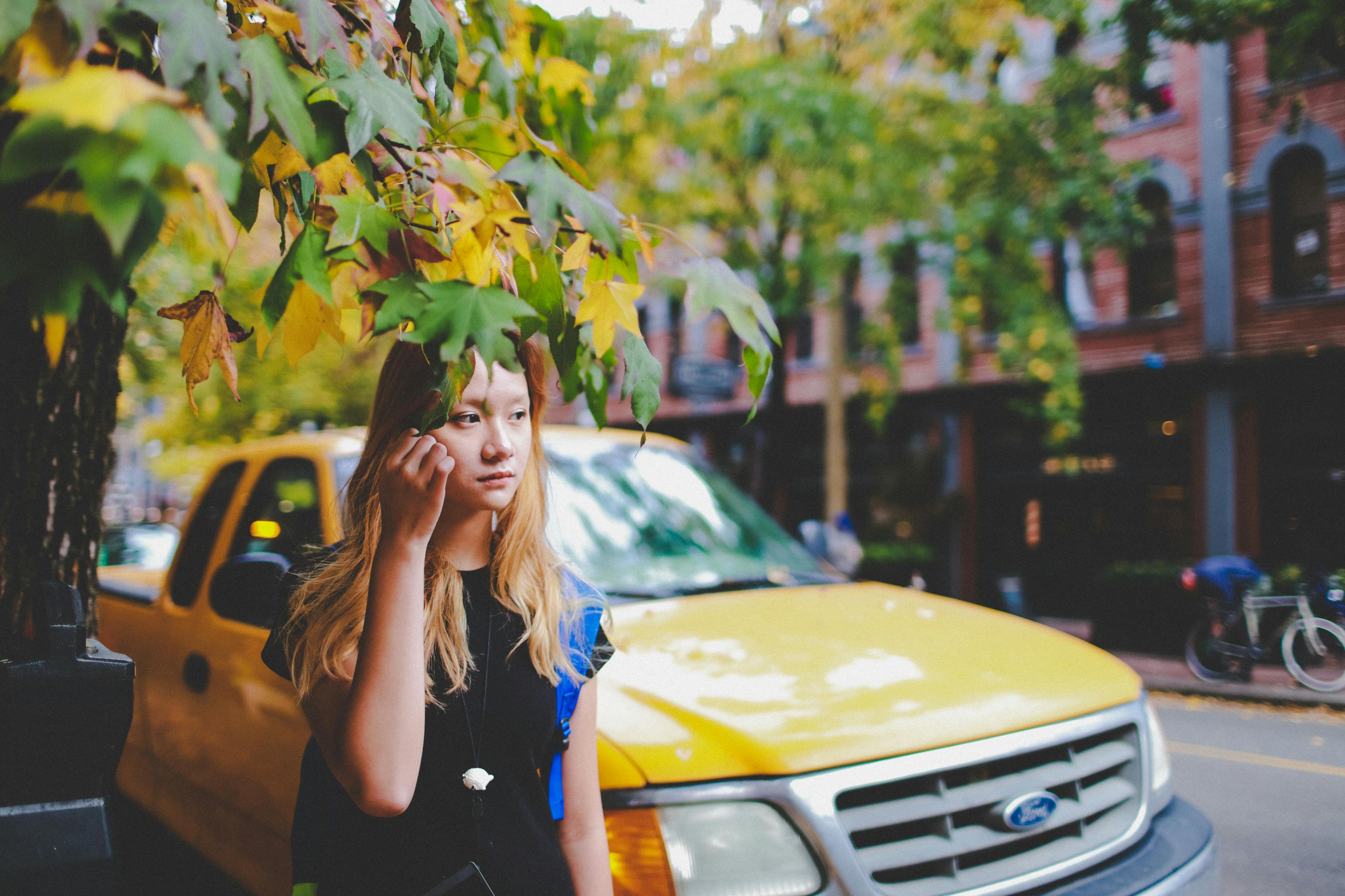 东北雨姐被罚165万元