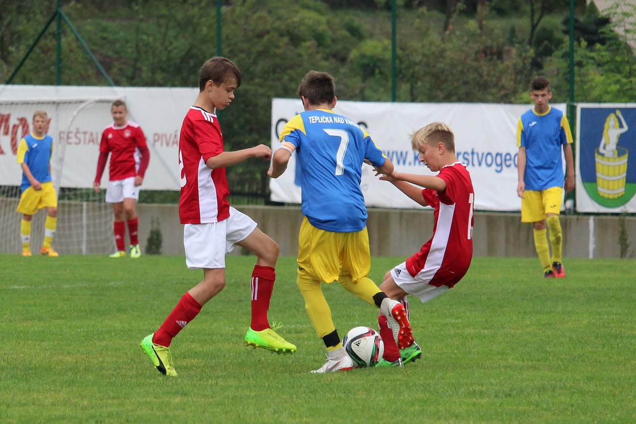 卓越运动新星，田中斗莉王——塑造未来体坛的璀璨之星