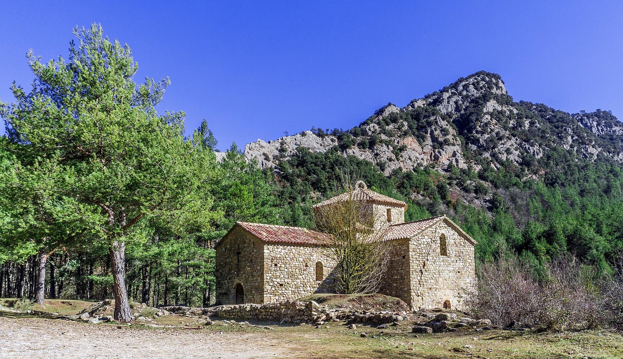 疫情动态，31省新增23例确诊背后的数据解读与防控策略