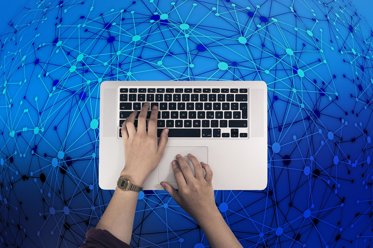 探索体育场所，定义、类型与重要性