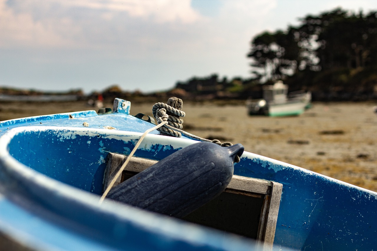 安徽疫情新动态，防控措施与生活影响全解析