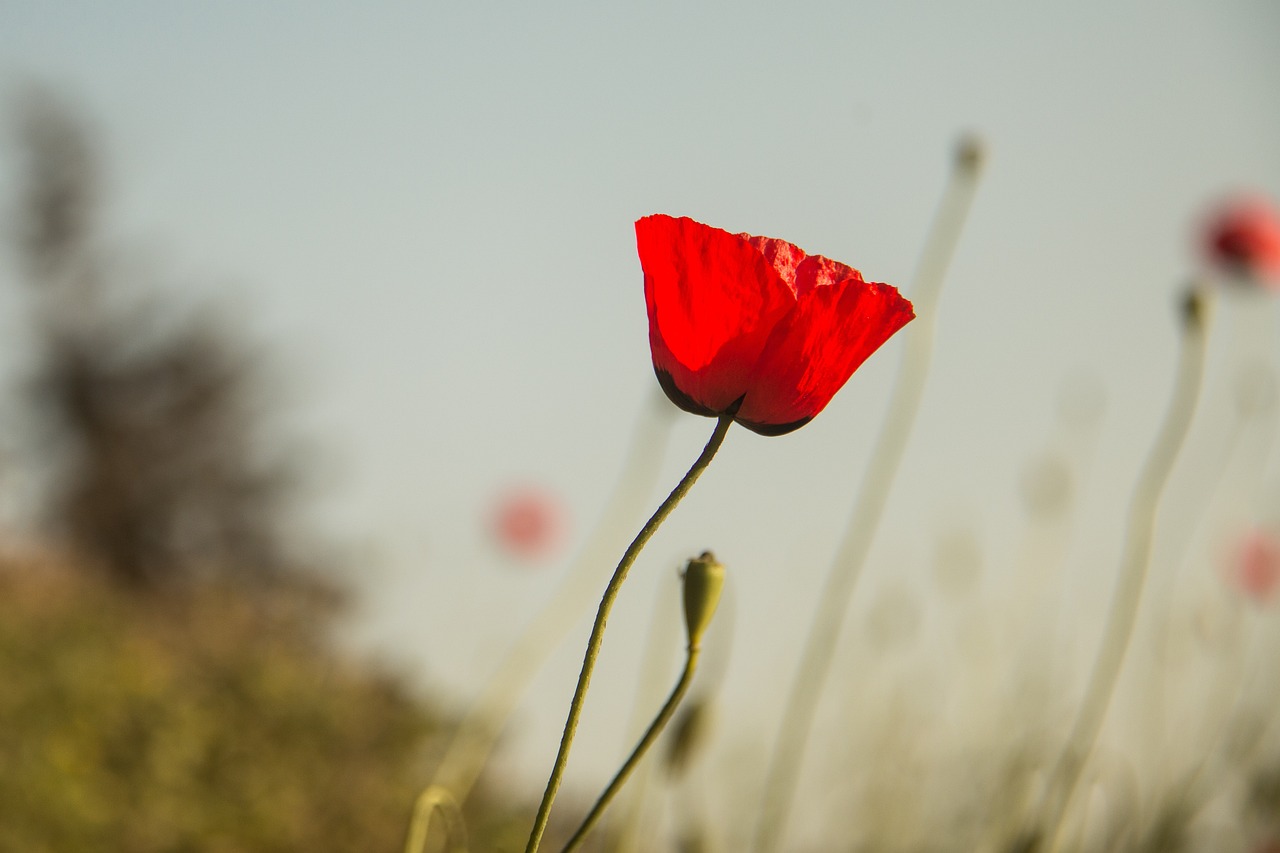 天津疫情新动态，深入解析新增22例核酸阳性感染者的影响与应对措施