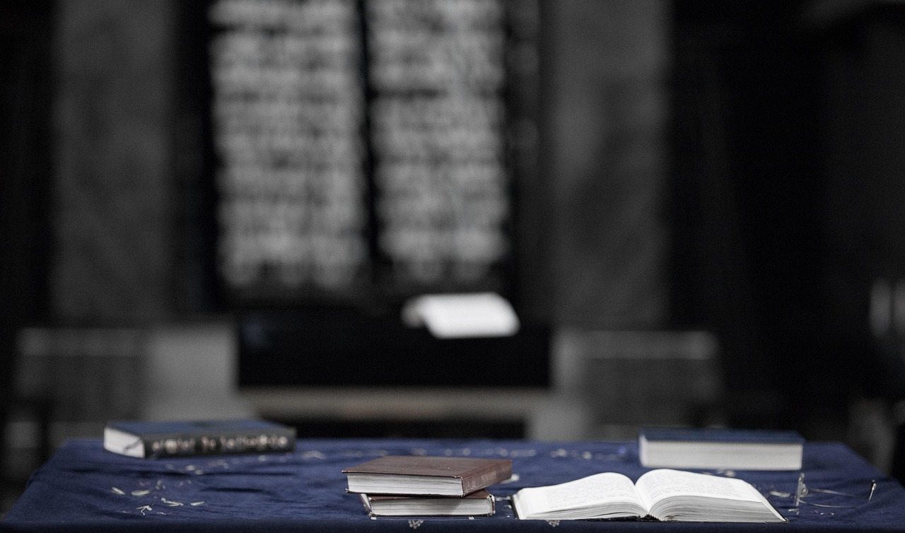 潘展乐，体育精神的典范与启示