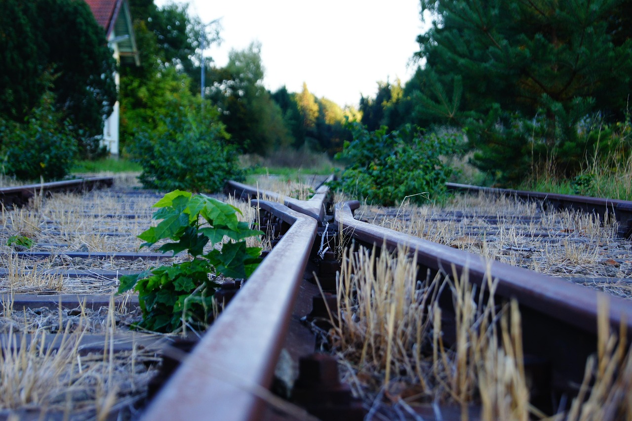 北京疫情新动态，新增病例轨迹涉及全聚德，防控措施升级，市民需警惕