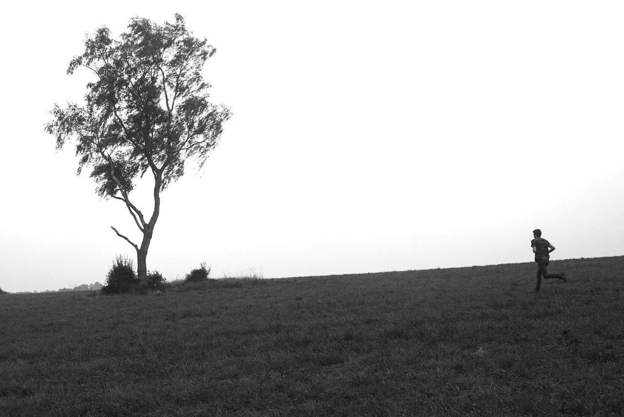 把树放进去，探索跨文化交流中的直译与意译