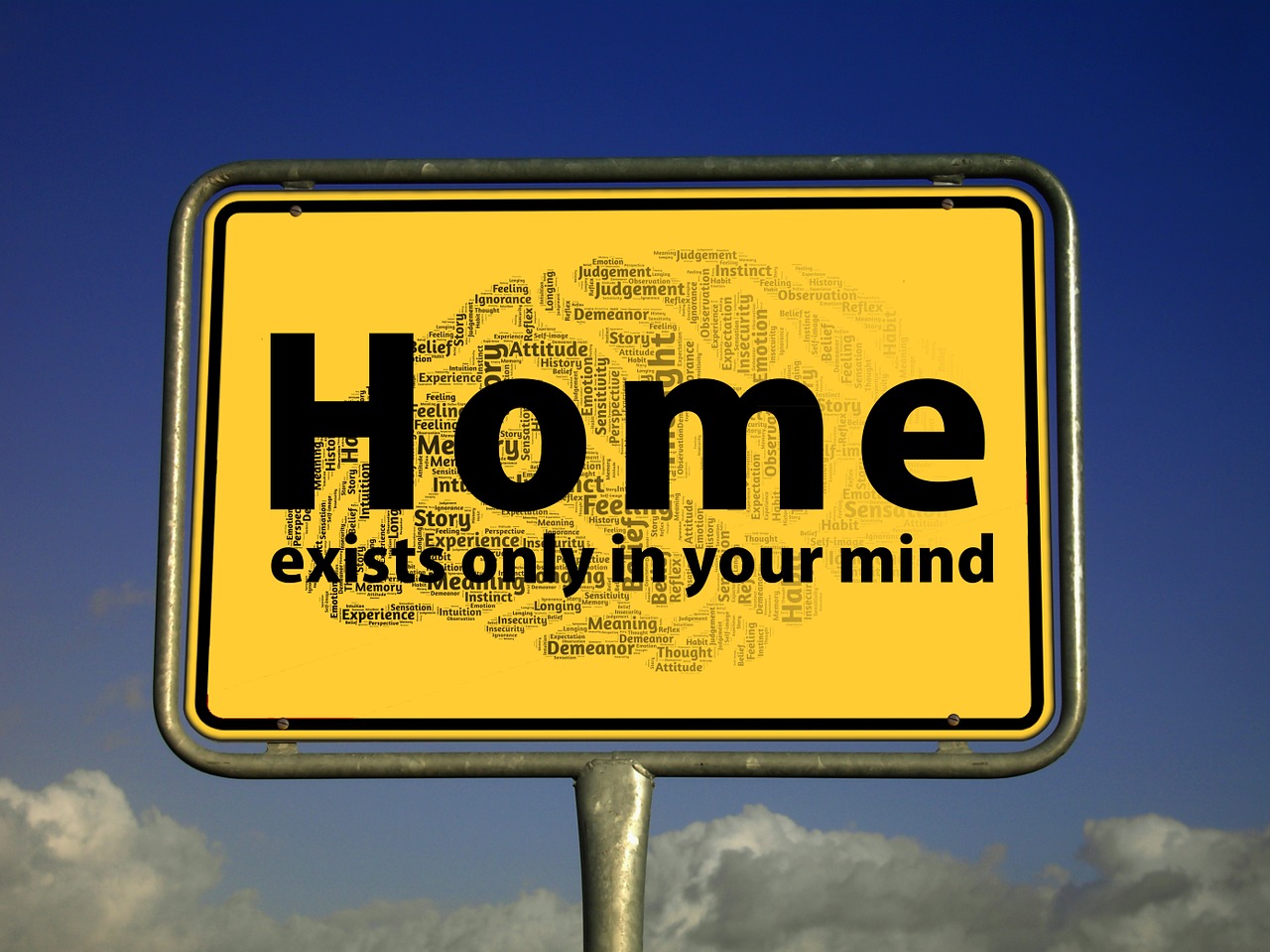 体育首页sohu，体育精神的数字化展现