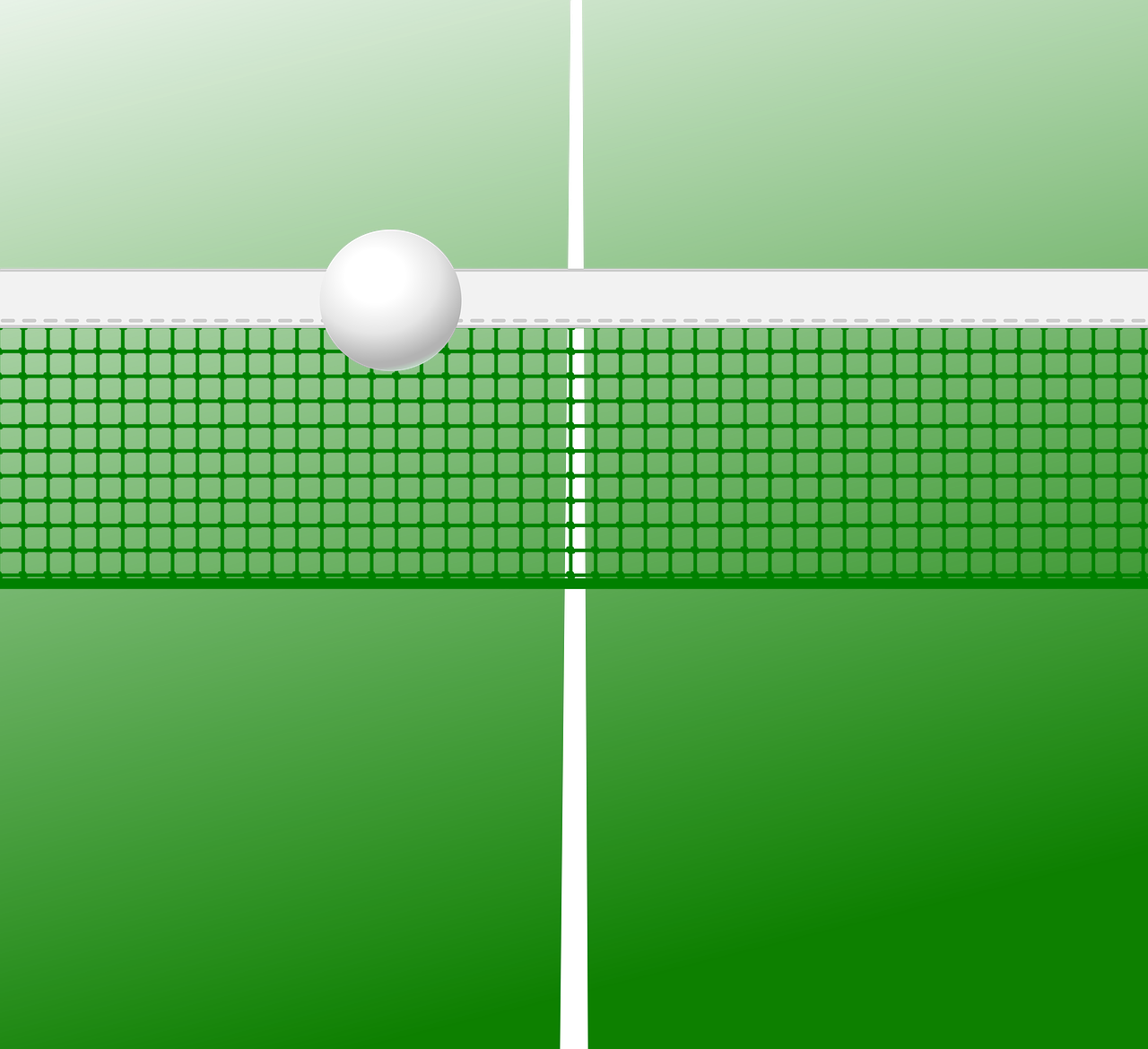 乒乓世界杂志，探索乒乓球爱好者的宝藏指南