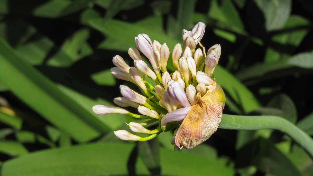 棋盘上的对决，今日围棋界的最新动态与精彩瞬间