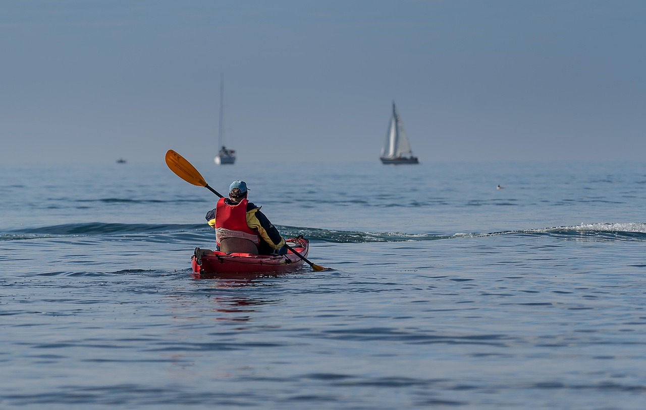 飞鱼体育,探索真实性与运动激情的交汇点 飞鱼体育,探索真实性与运动激情的交汇点
