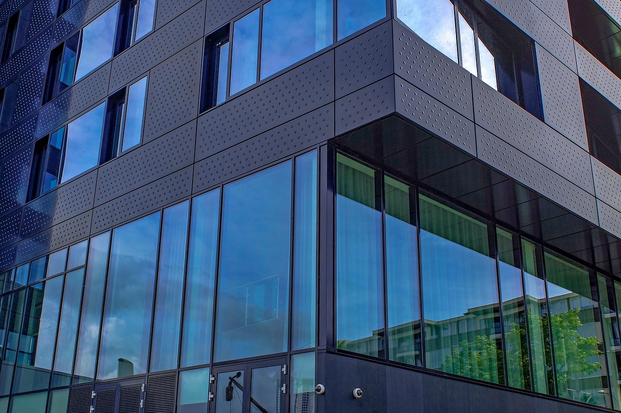 鲸鲨体育发展有限公司,引领体育产业新浪潮 鲸鲨体育发展有限公司,引领体育产业新浪潮