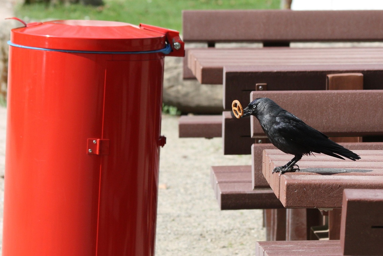 中国31省新增确诊1334例，疫情动态与防控措施解析