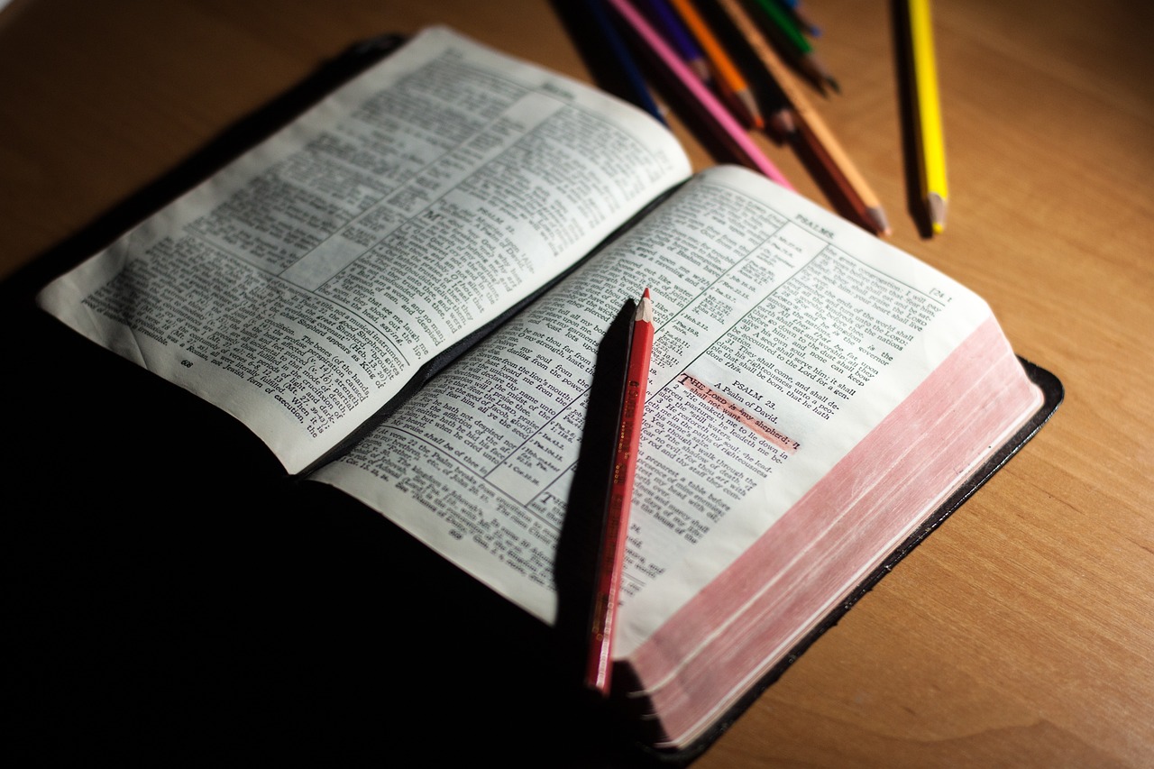 校园里的缤纷色彩，一次难忘的活动作文体验