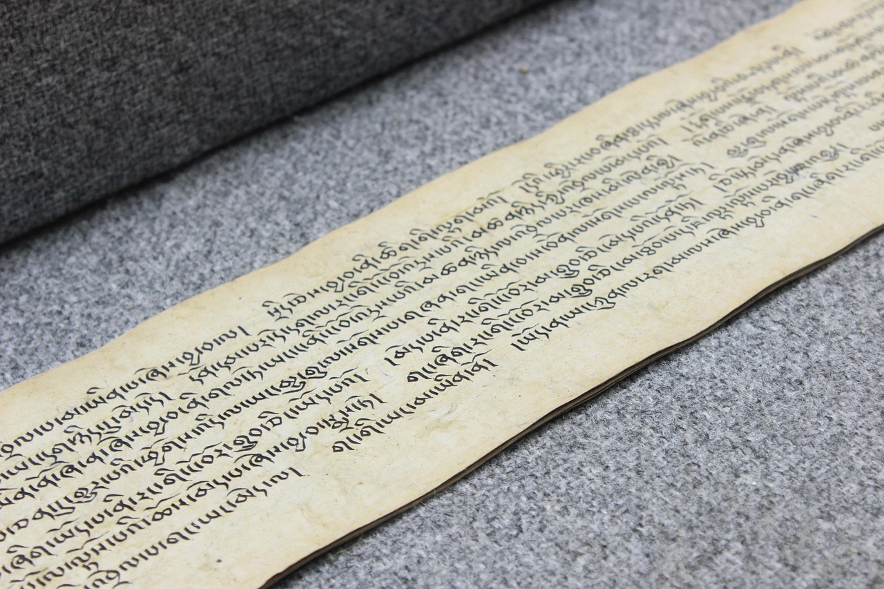 学校组织的一次难忘之旅，250字的启示