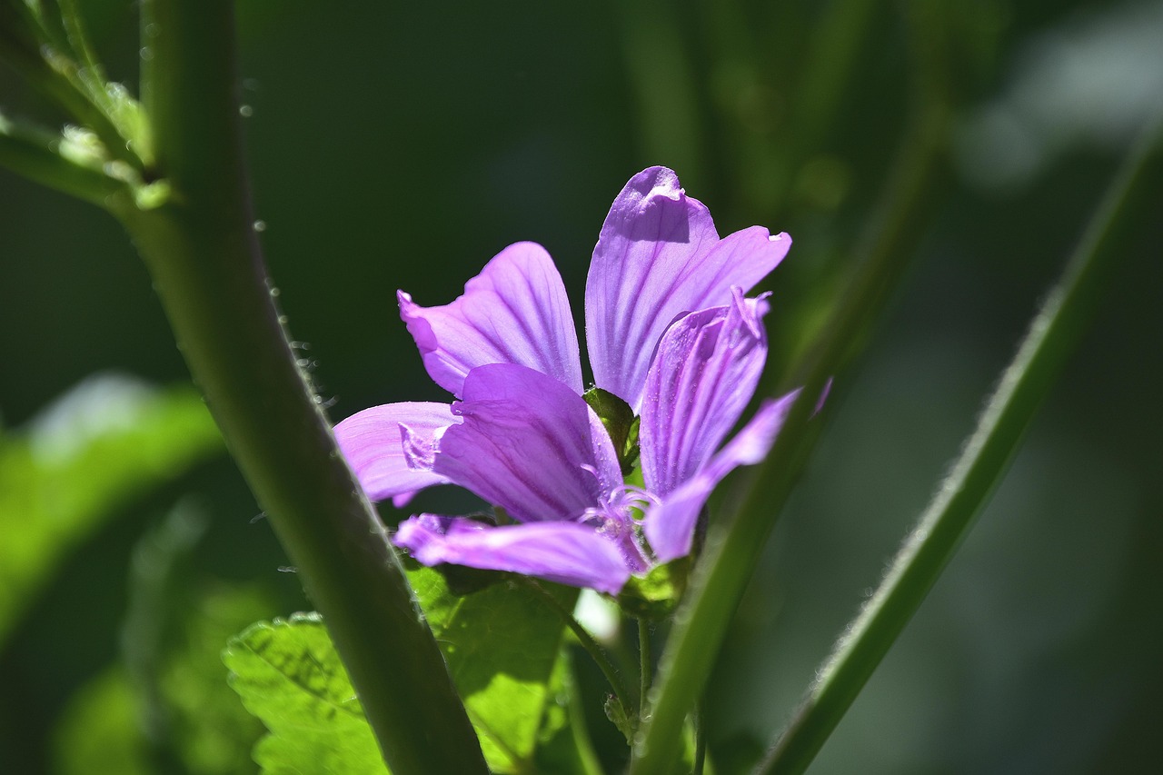 探索滚球软件排行榜，最新动态与实用指南