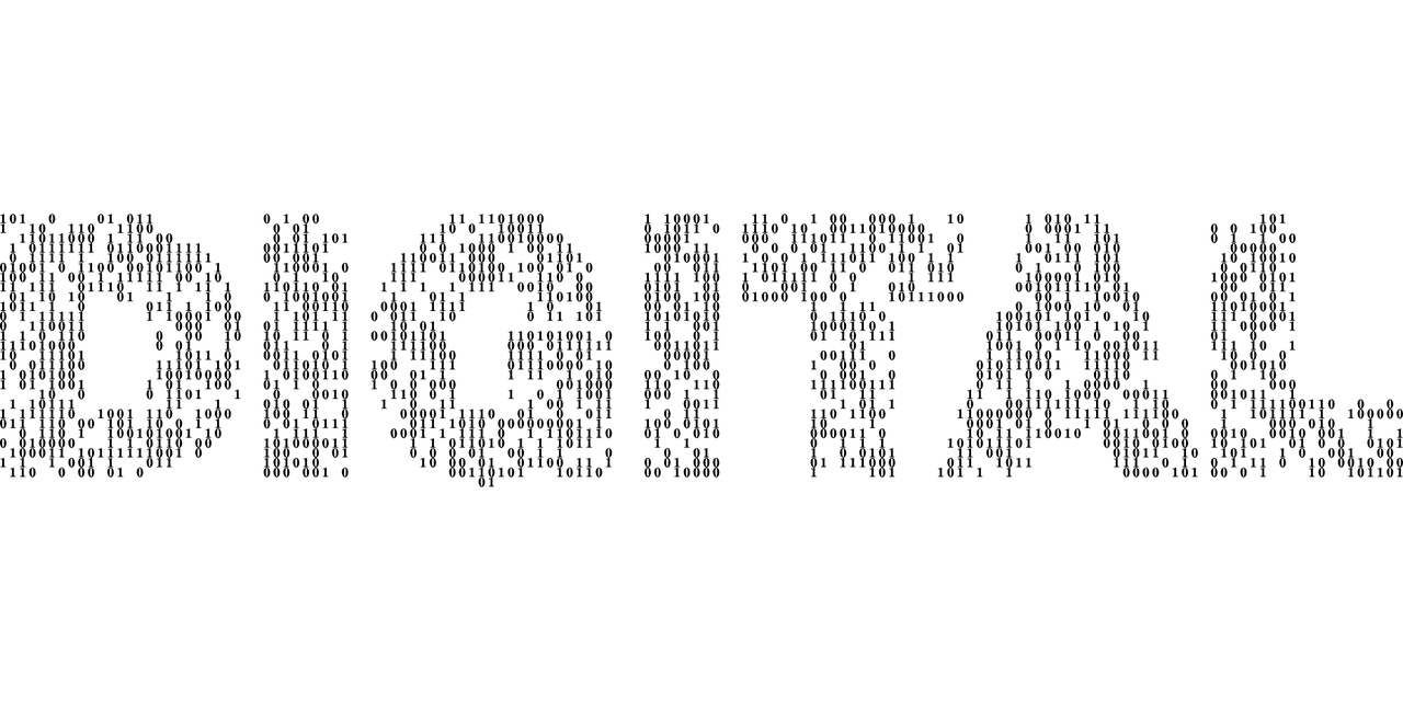 探索数字的奥秘，名家精选号码汇总的艺术与科学