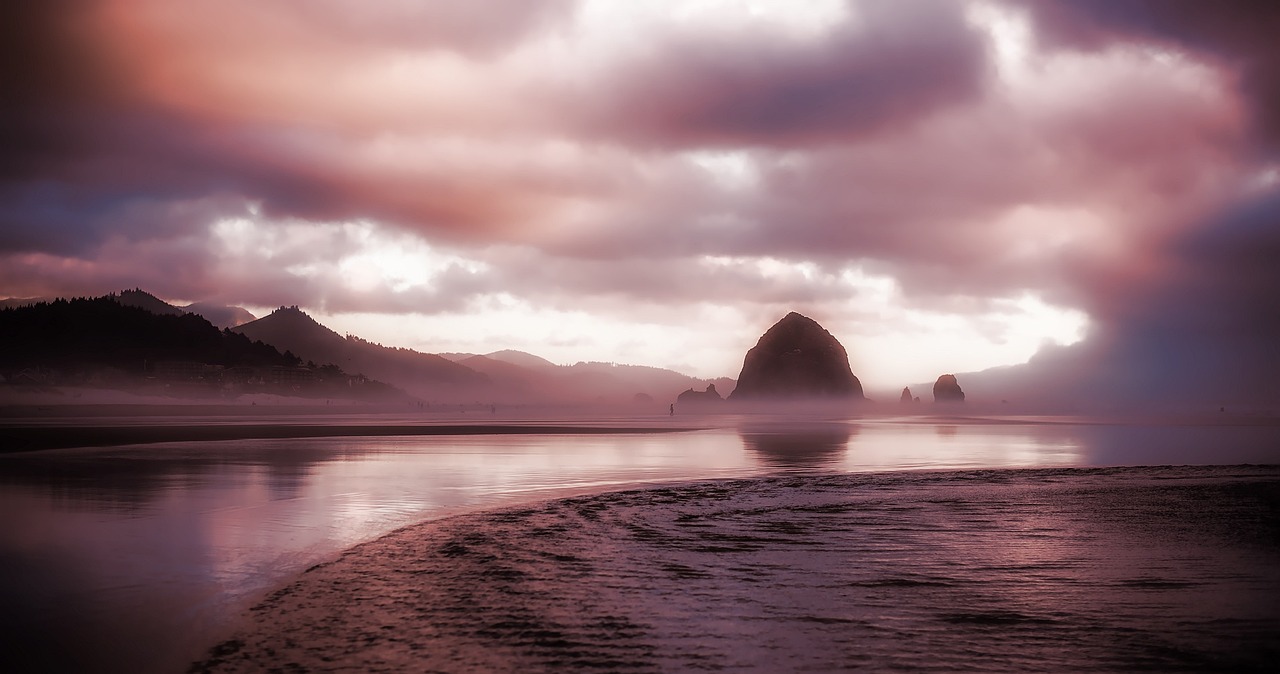 深海巨兽的传说，探索蓝鲸鱼文化及其对人类社会的影响