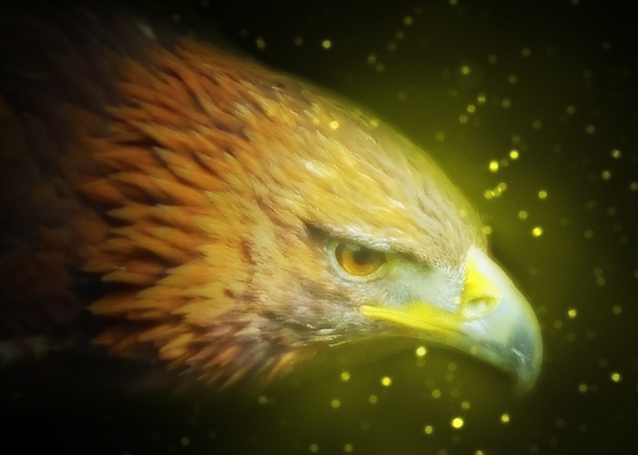 探索飞鲸文化，人员规模与组织效能的平衡艺术