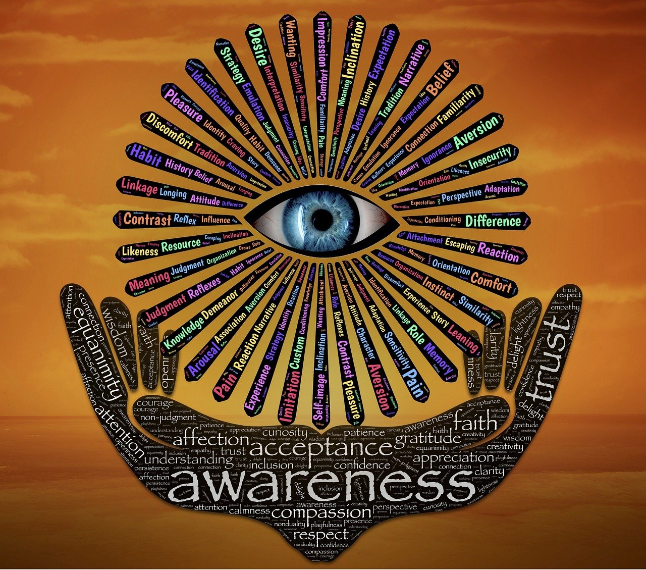 超越极限，体育精神的力量与启示