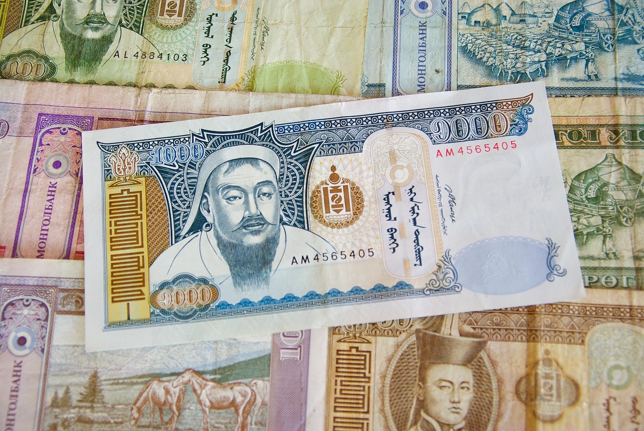 中甲票务官网首页，探索中国足球的门票世界